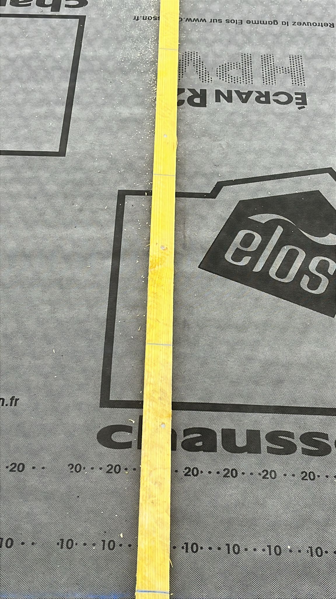 PHOTO 2025 10 09 15 40 01 3